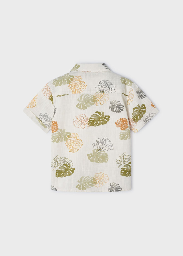 3114 - S/s buttondown shirt for boy - Iguana grn - Be Chic
