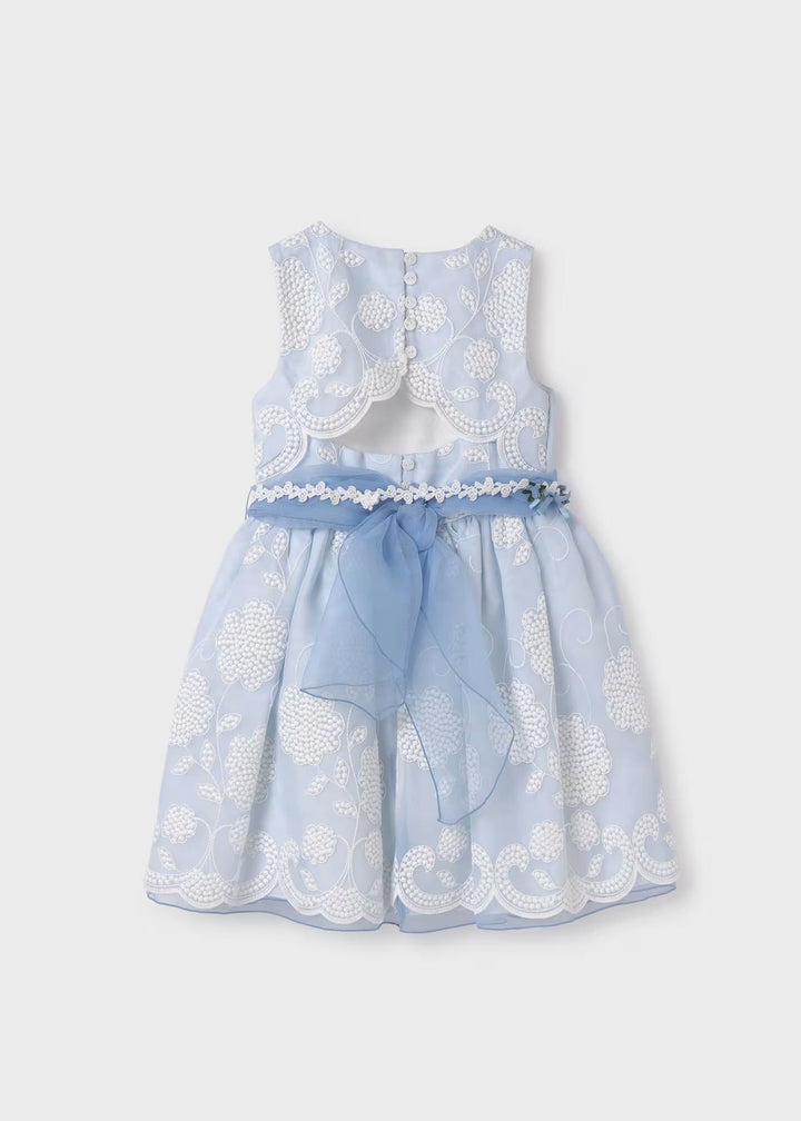 Organza embroidered dress - Sky blue - Kids Chic