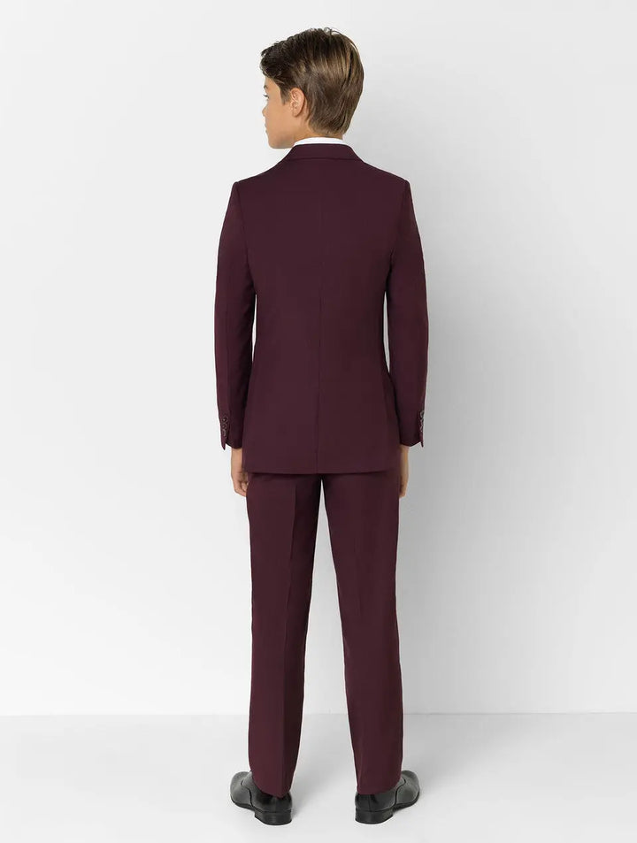 Suit for boys: 5 pieces Set - plum color Kids Chic