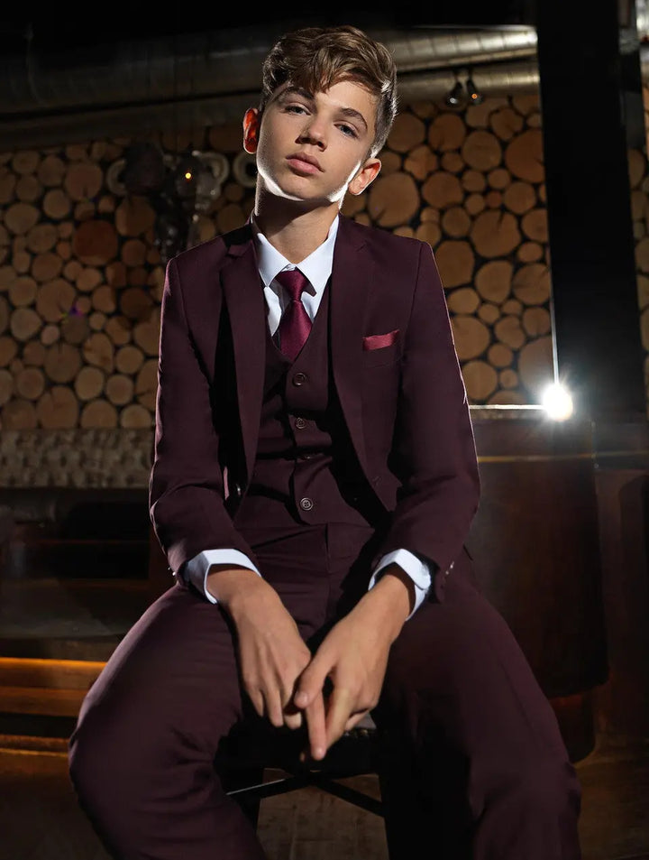 Suit for boys: 5 pieces Set - plum color Kids Chic