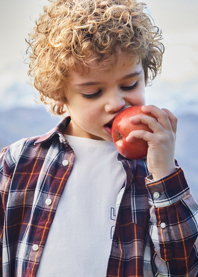 L/s checked shirt for boy - Plum Mayoral