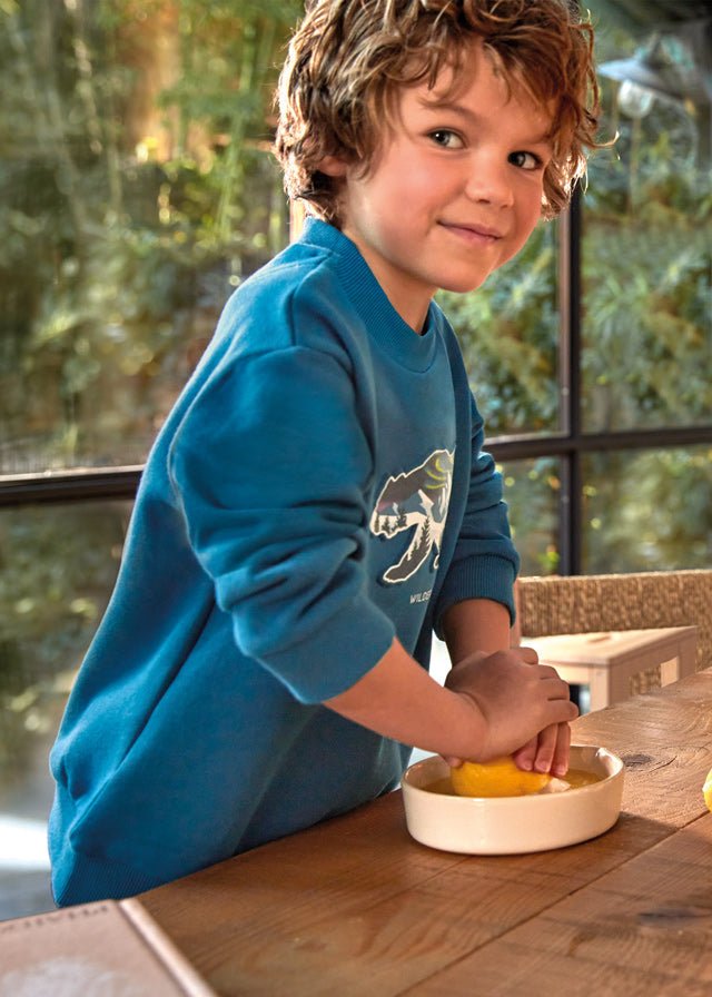 4429 - Pullover for boy - Atlantic - Be Chic