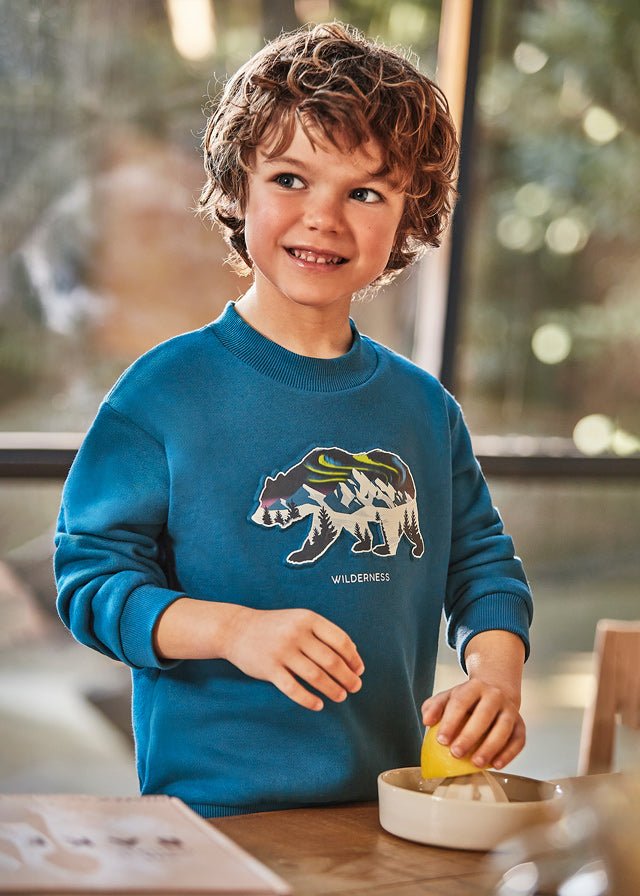 4429 - Pullover for boy - Atlantic - Be Chic