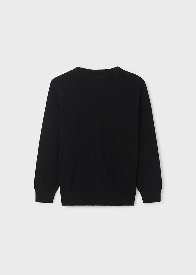 Basic cotton jumper for teen boy - Bright Coa - Be Chic