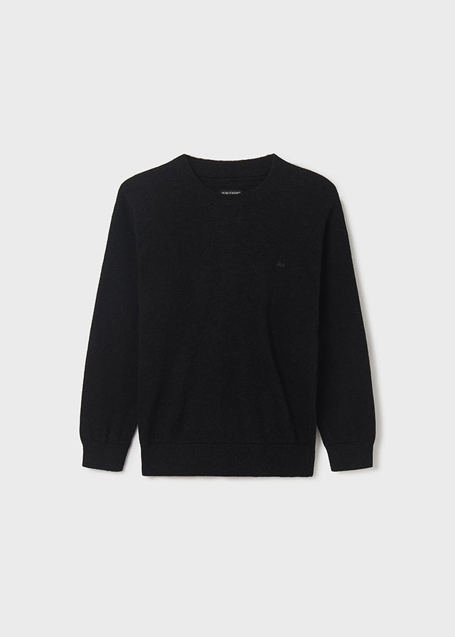 Basic cotton jumper for teen boy - Bright Coa - Be Chic